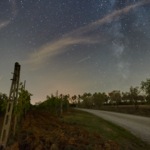 Fotos